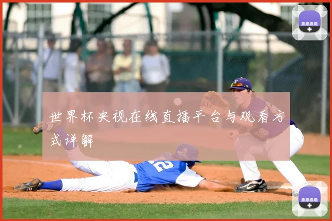 世界杯央视在线直播平台与观看方式详解
