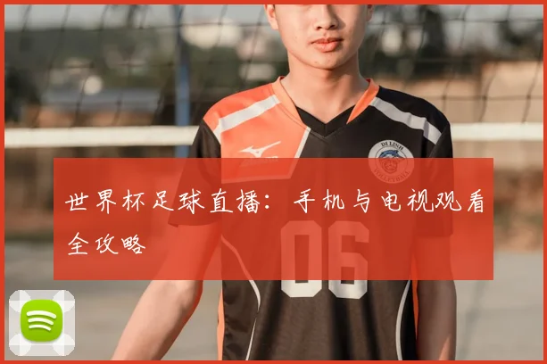 世界杯足球直播:手机与电视观看全攻略